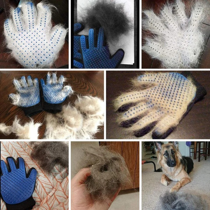 Biolisk™ Grooming Glove