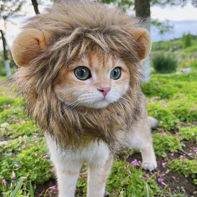 Lion's Mane Wig Biolisk™