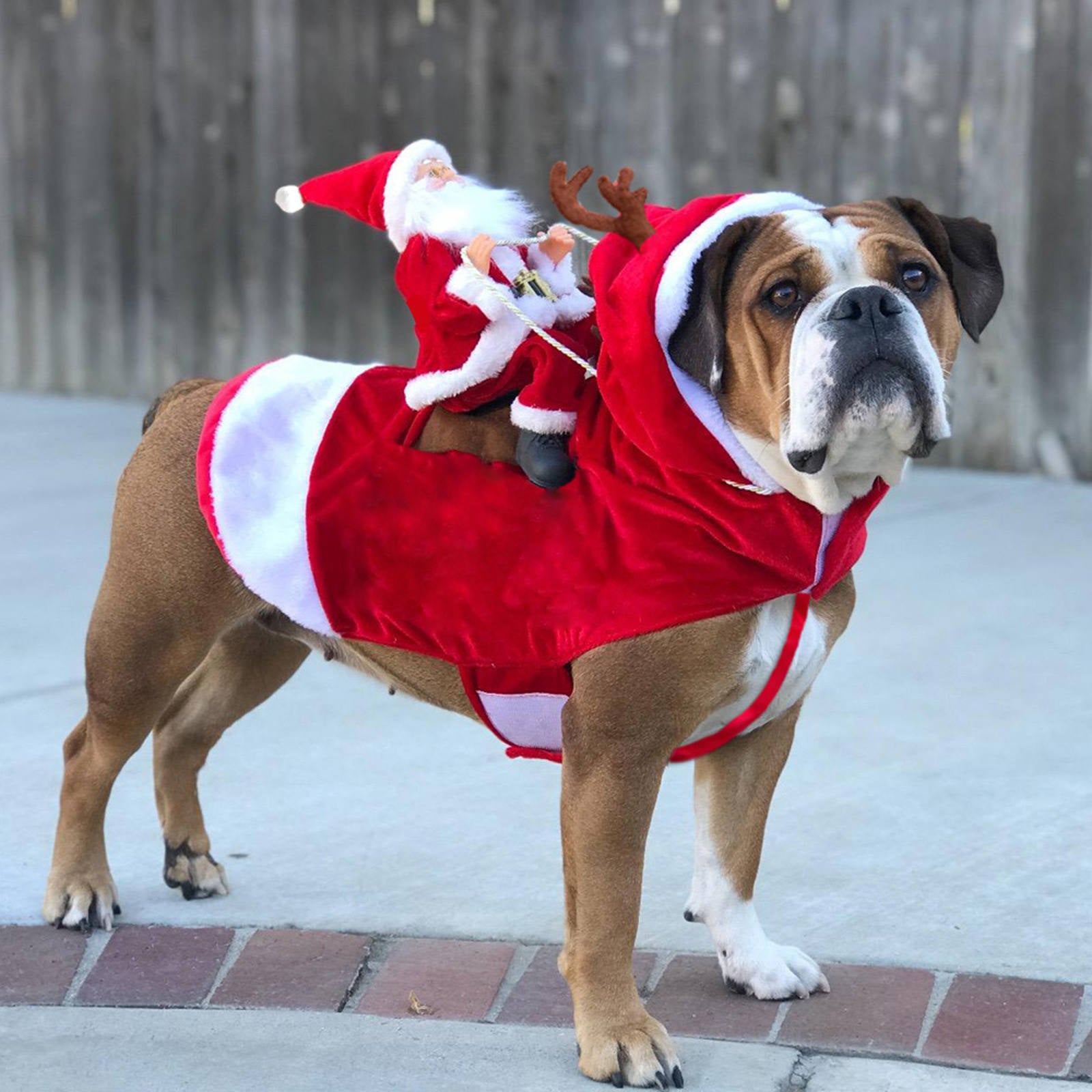 FurPaw™ - Dog Christmas Costume