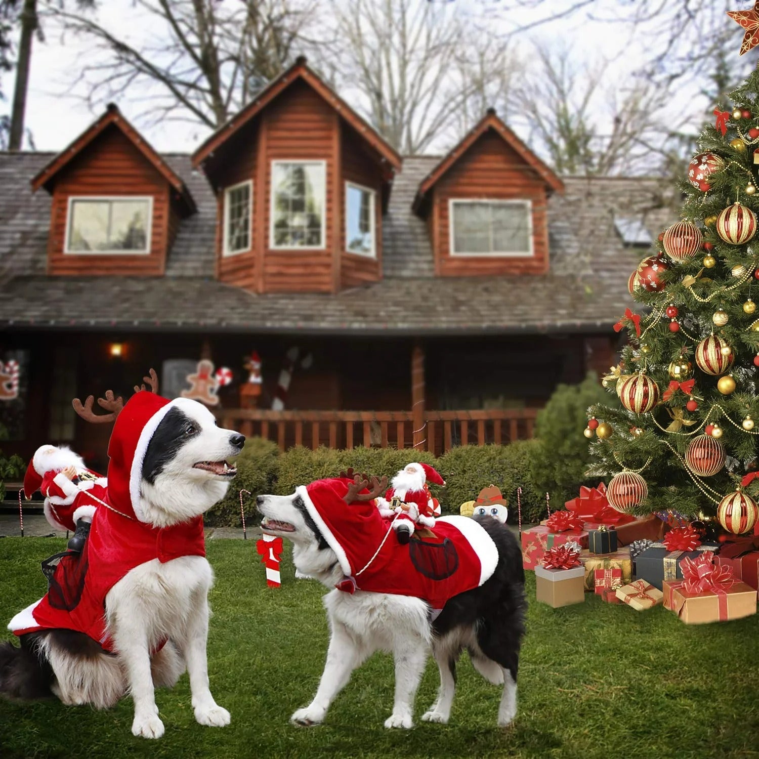FurPaw™ - Dog Christmas Costume