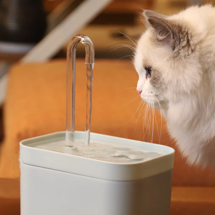Cat Water Fountain BioLisk™